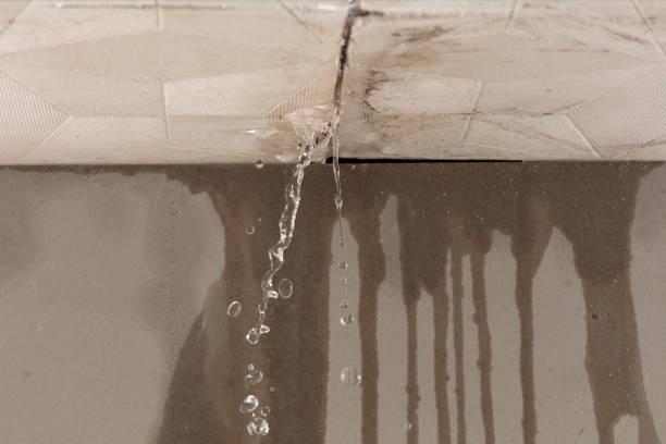 Professional Water Damage Repair technician working in Old Westbury, NY